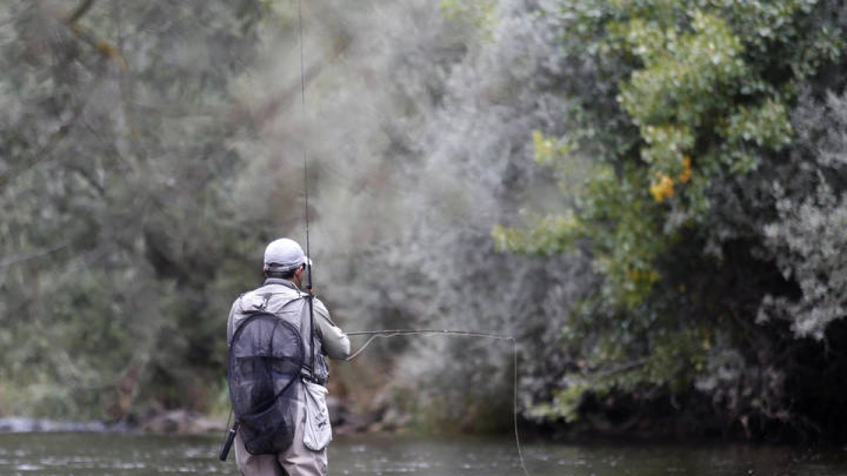 La temporada de pesca fue positiva el pasado año, en este aún sigue en espera. fERNANDO OTERO