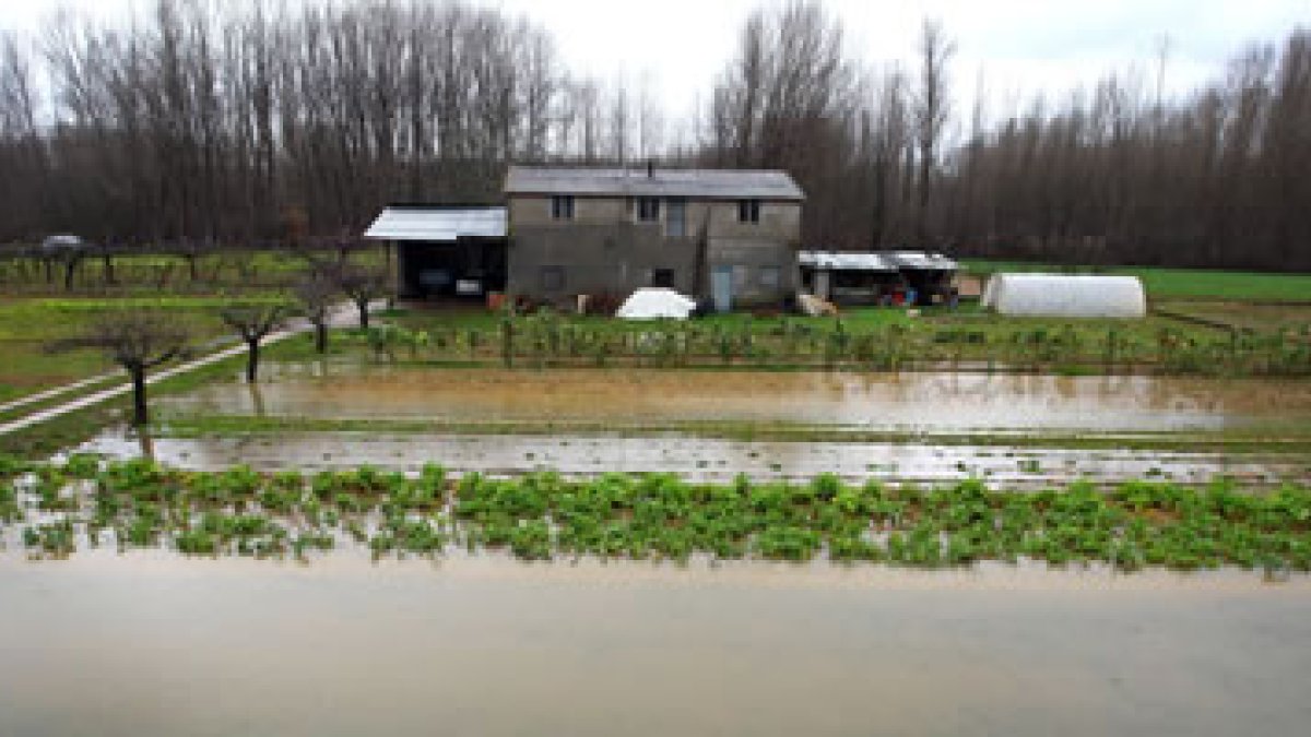 Las últimas lluvias desbordan el arroyo de Los Barredos anegando sótanos, bajos y tierras de cultiv