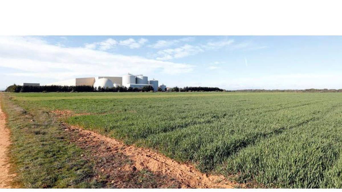 Terrenos aledaños al CTR de San Román de la Vega en los que se asentará el complejo medioambiental de Latem Aluminium. MARCIANO PÉREZ