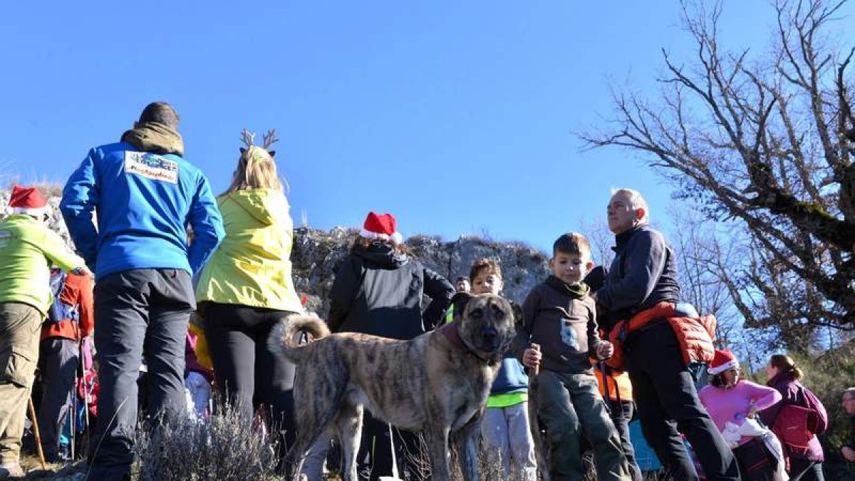 Hasta algún perro se animó a realizar el recorrido. CASTRO