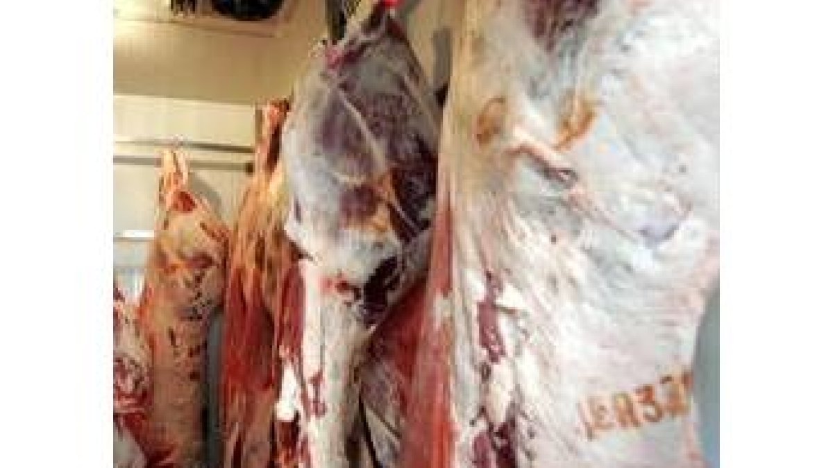 Los mataderos de León perdieron actividad en el año 2005