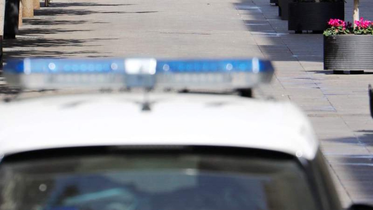 La Policía Nacional ha detenido a un hombre por disparar con perdigones en Zamora. SALAS