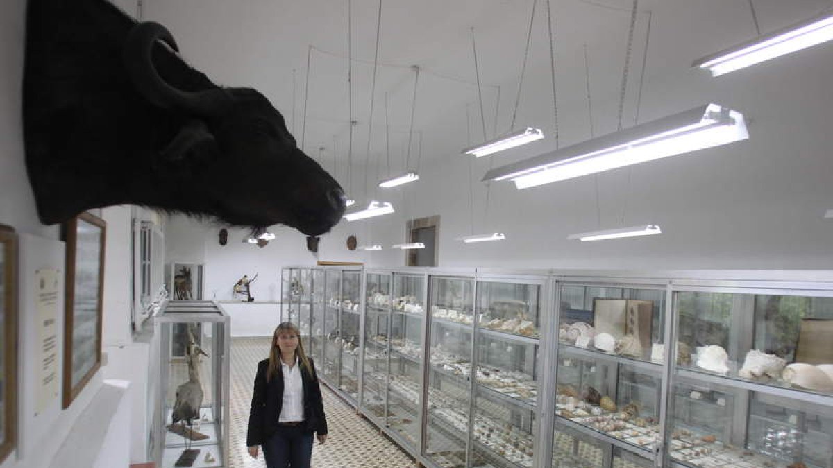 El Museo de los Paúles está compuesto por casi 4.000 piezas, alguna de finales del S XIX.