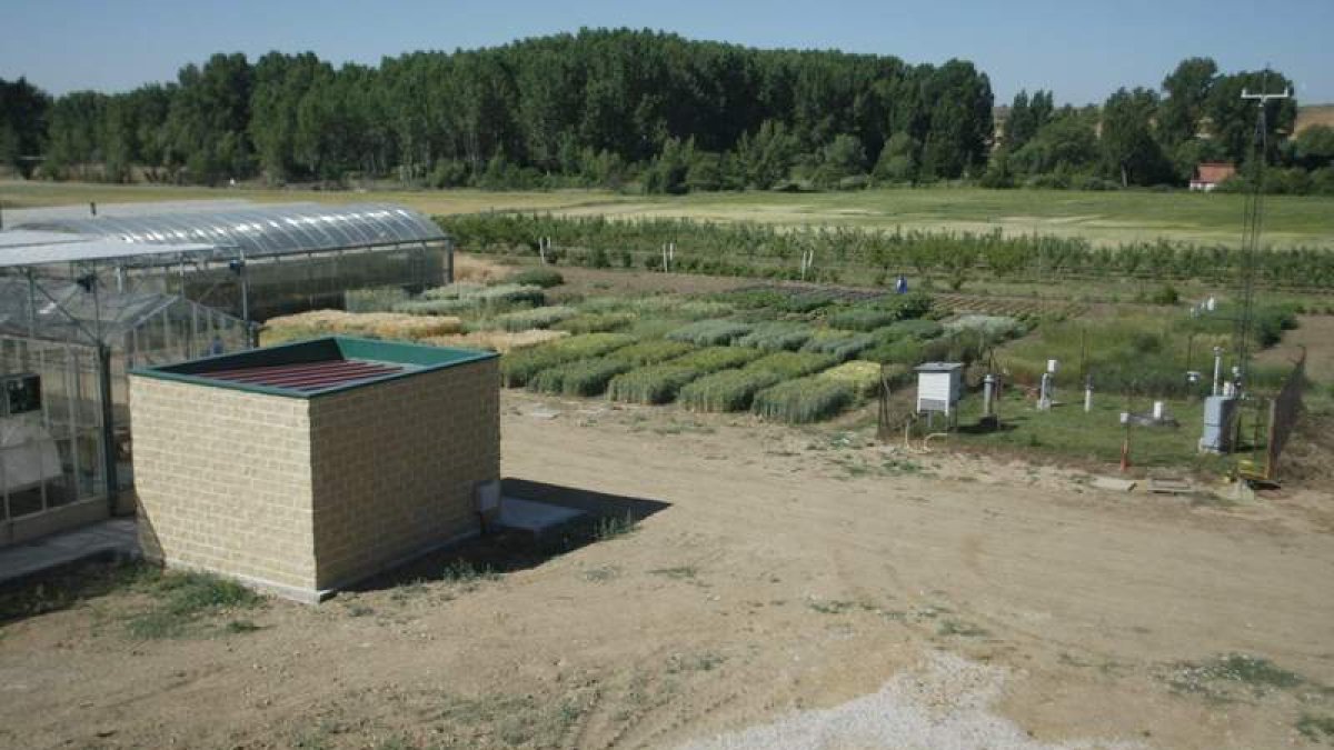 Espacio para prácticas de la Escuela de Agrícolas.