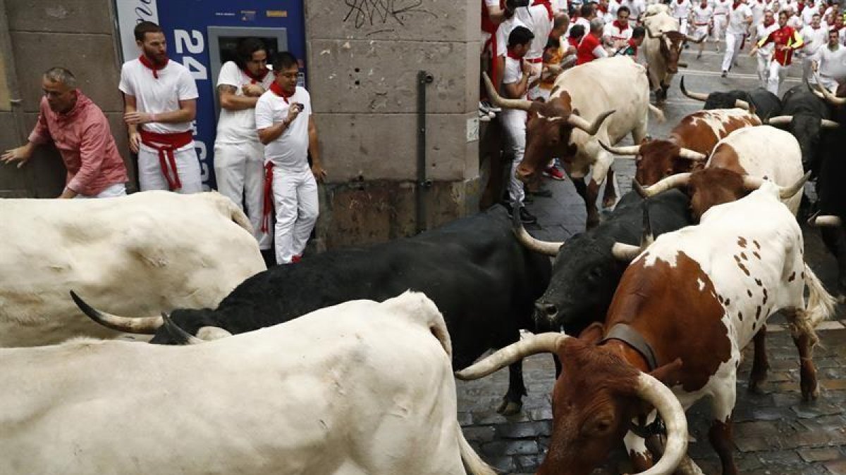 Los toros de la ganadería de Fuente Ymbro, que participa en los sanfermines desde hace trece años, han corrido hoy el cuarto encierro de este año.