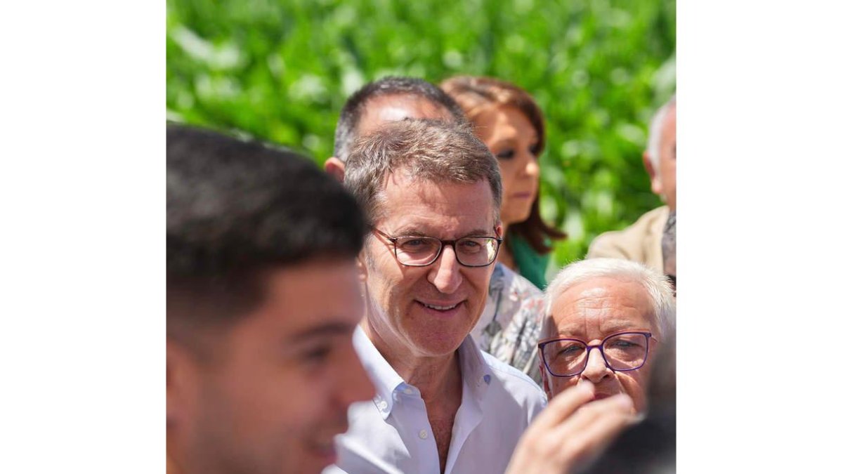 El presidente del PP, Albrto Núñez Feijóo. DAVID MUDARRA