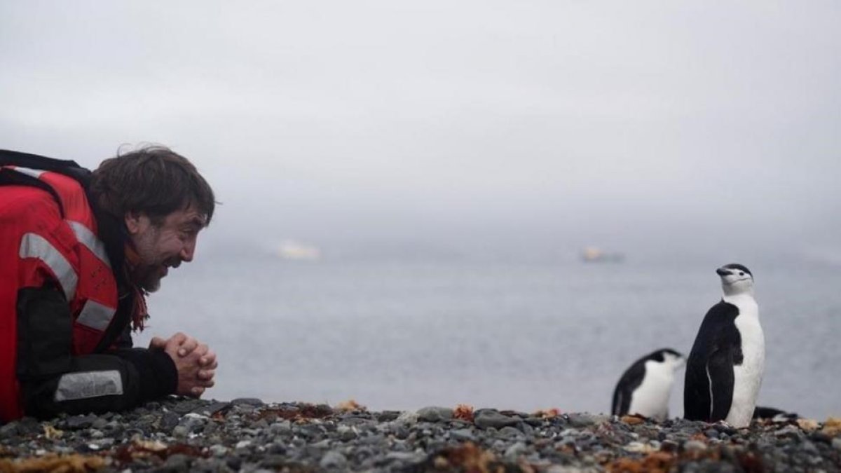 Javier Bardem, saludando a unos pingüinos en la Antártida.