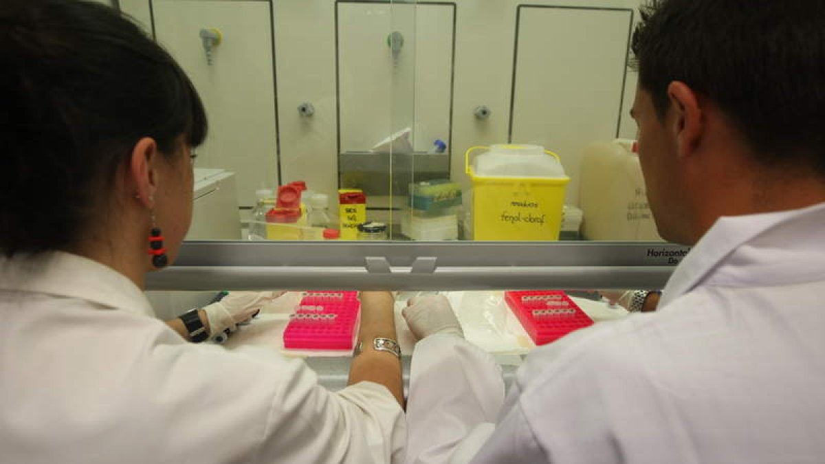 Investigadores del Instituto de Biomedicina, Ibiomed. NORBERTO