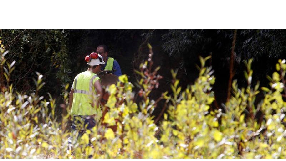 Los trabajadores de la empresa pública Tragsa ya han comenzado estos días con las tareas de adecentamiento.