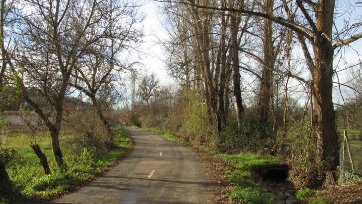 Carretera de acceso a Villanueva del Árbol. DL