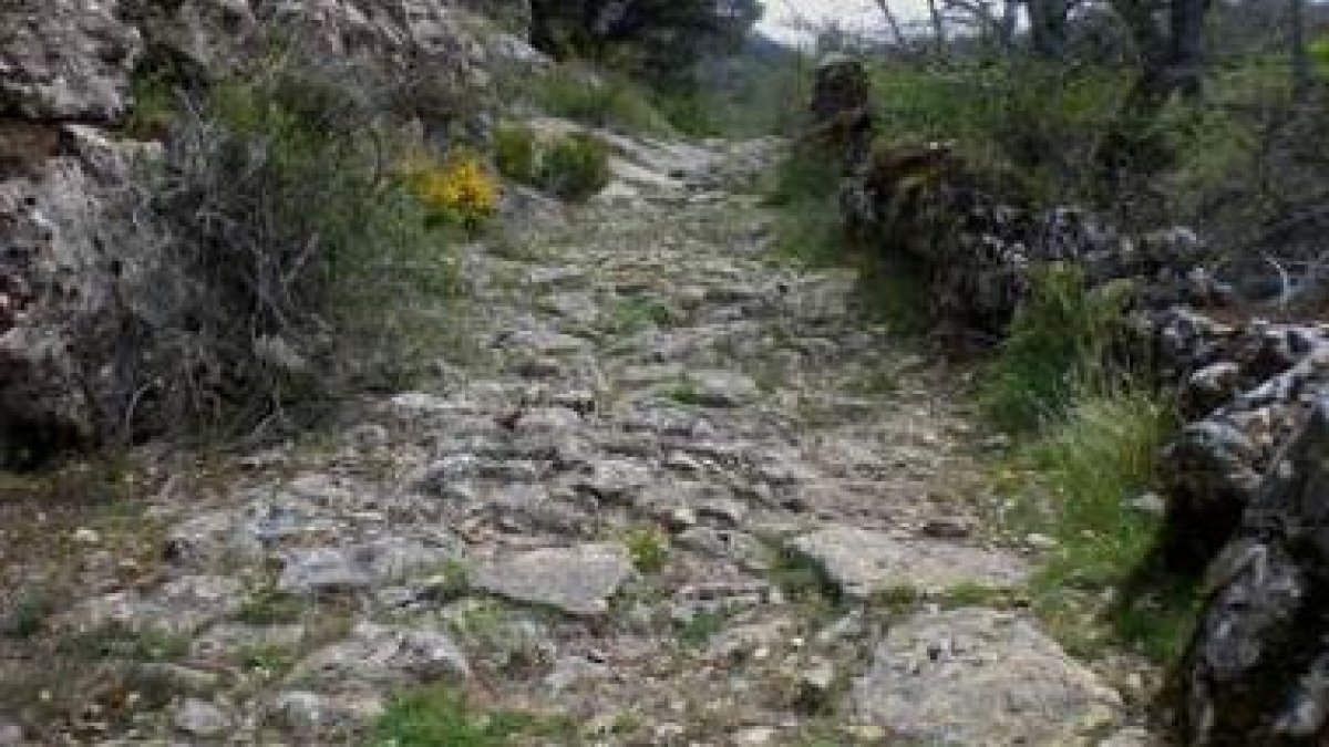 «A veces no hacer nada, no tomar posiciones puede ser lo más conveniente para lograr buenos fr