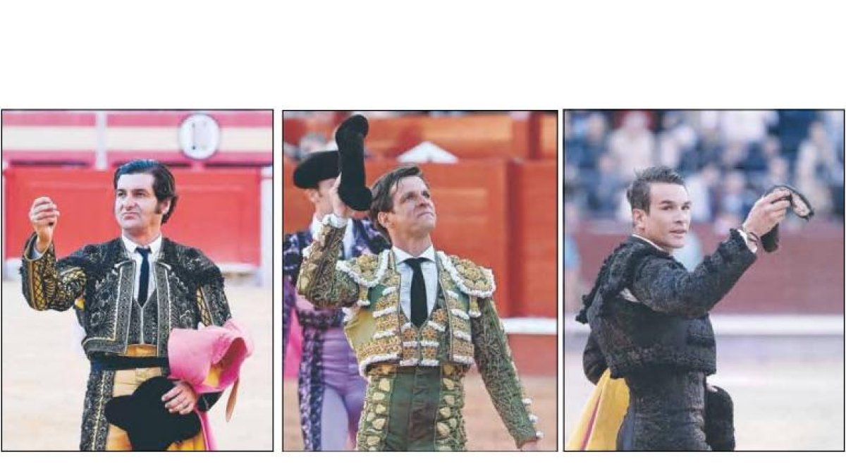 toros
