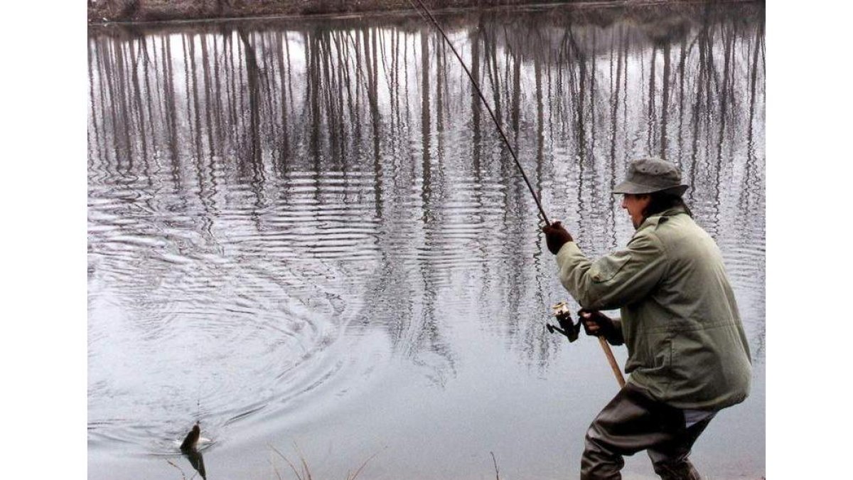 Un pescador captura un lucio en el río Órbigo.