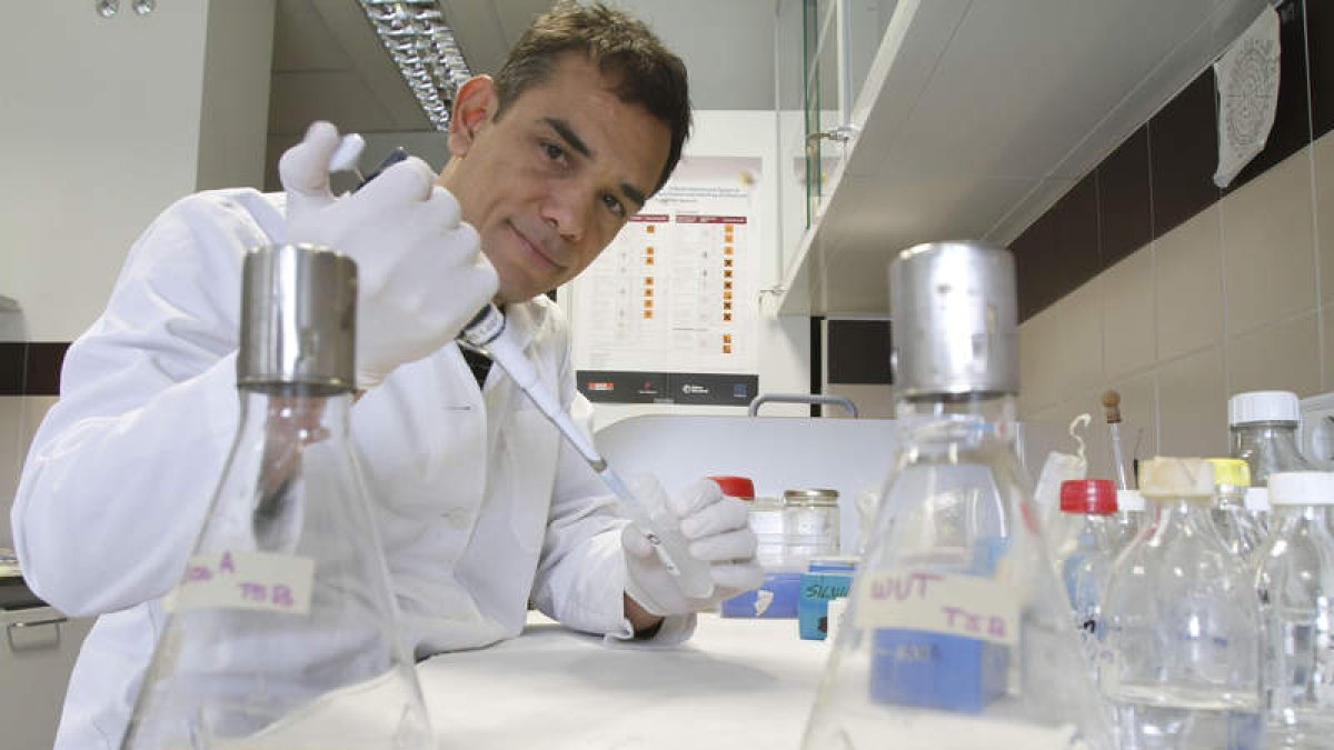 La Diputación se alía con Inbiotec para rentabilizar la agroindustria ...