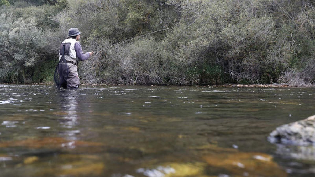 El Open Internacional de Pesca a Mosca tiene como escenario las aguas del río Órbigo. FERNANDO OTERO