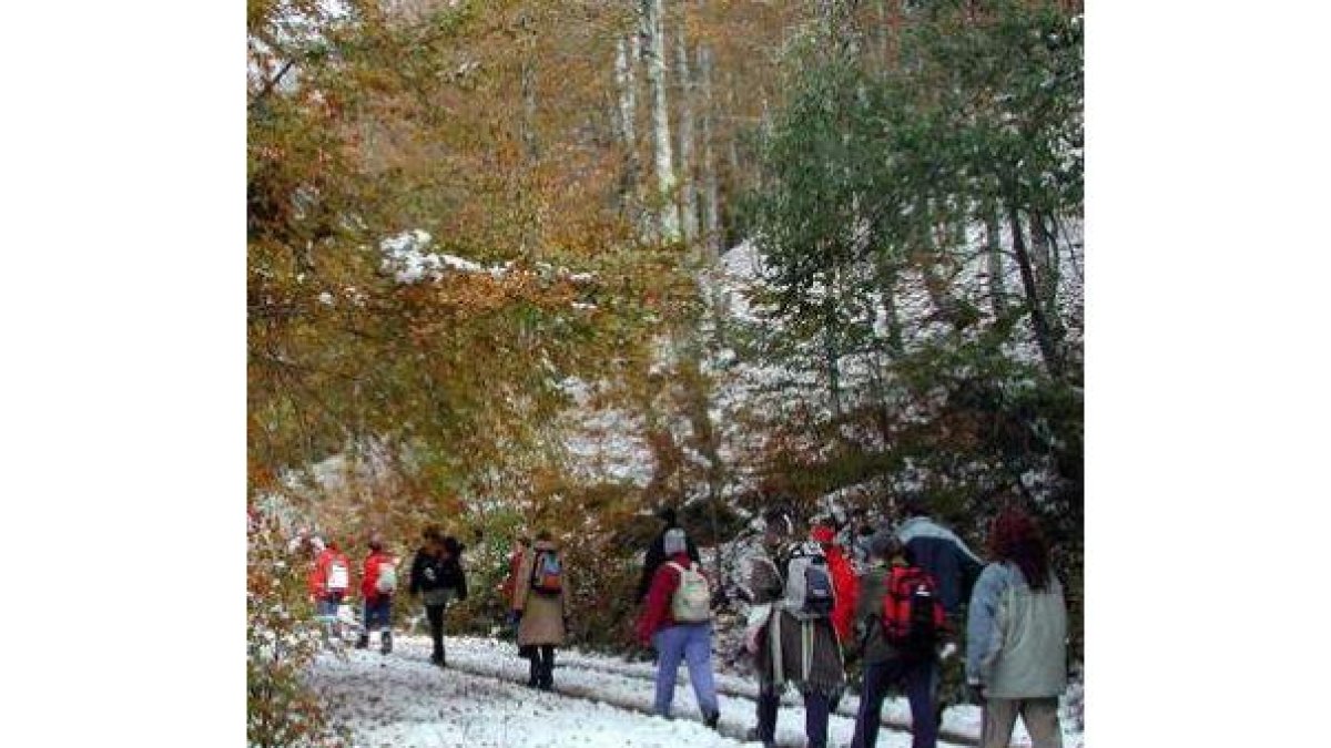 Un grupo de aficionados al senderismo en Picos de Europa.