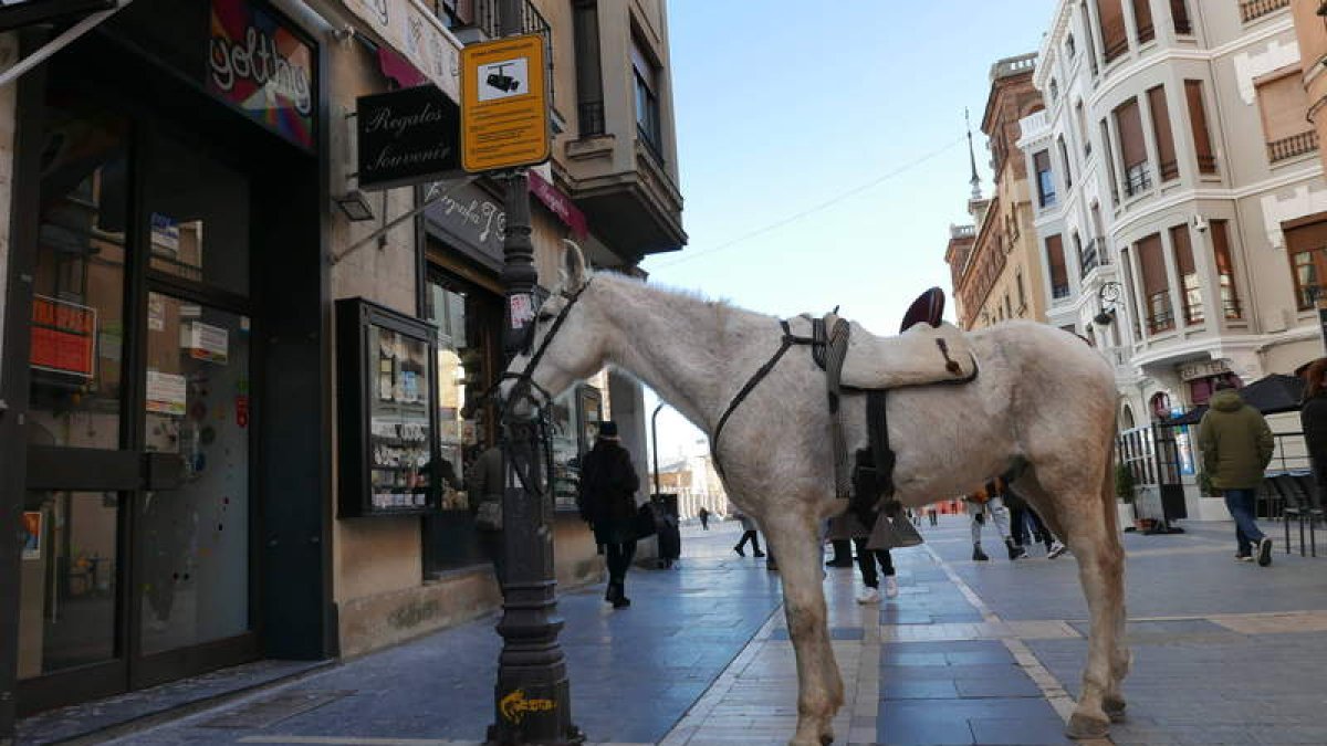 JAVIER FERNÁNDEZ ZARDÓN