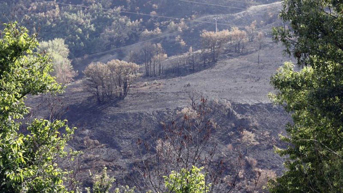 Paisaje en La Cabrera después del incendio.