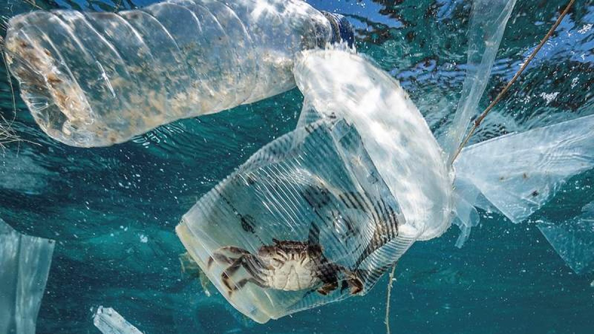 Un cangrejo atrapado en un vaso de plástico cerca de Isla Verde en Filipinas. NOEL GUEVARA/GREENPEACE
