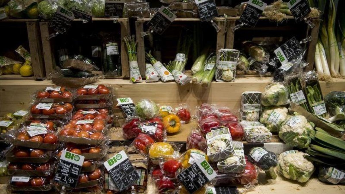 Una gran superficie comercial con sus productos envueltos en plástico.