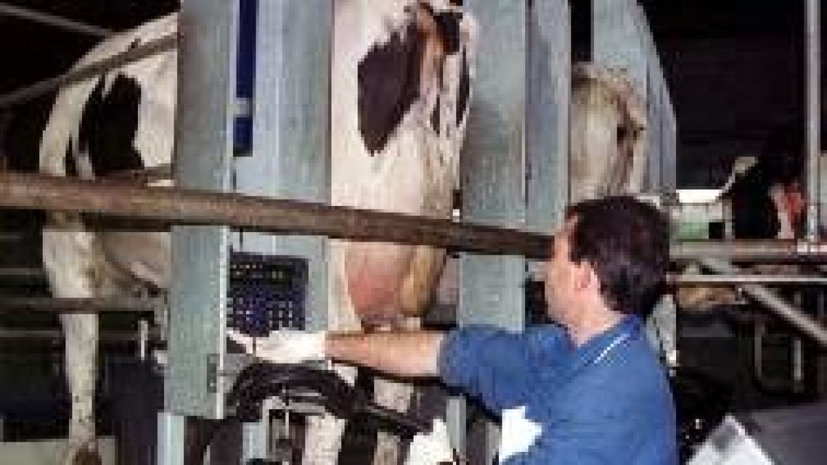 Los ganderos insisten en el peligro que corre el sector lácteo