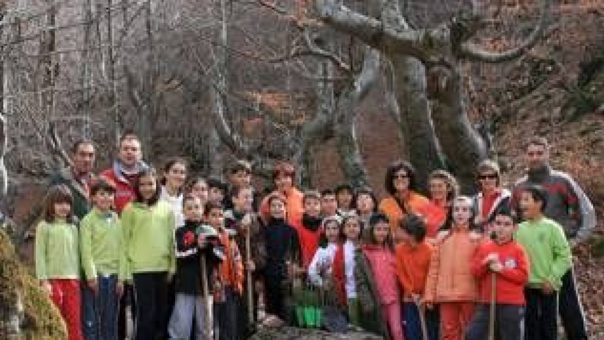 Los jóvenes plantaron los árboles el pasado lunes