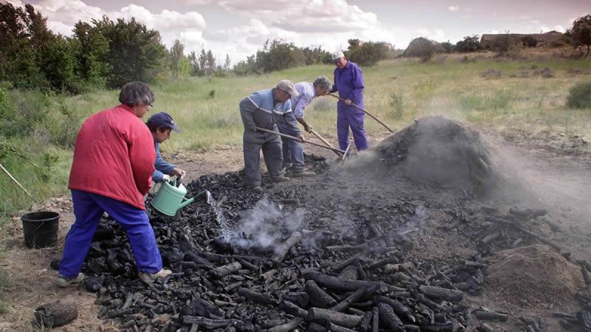 Fase del proceso de elaboración en la que se derriba la carbonera y se recoge el carbón.
