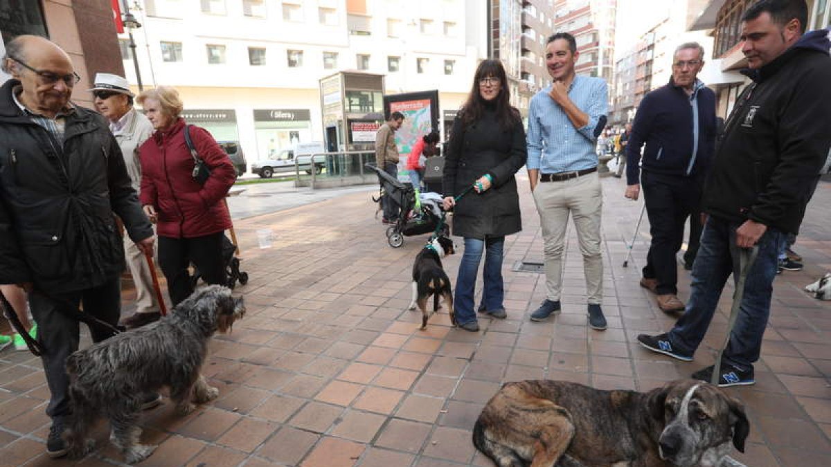 La calle del Cristo, en el centro de Ponferrada, fue ayer un lugar de paseo para los perros. DE LA MATA