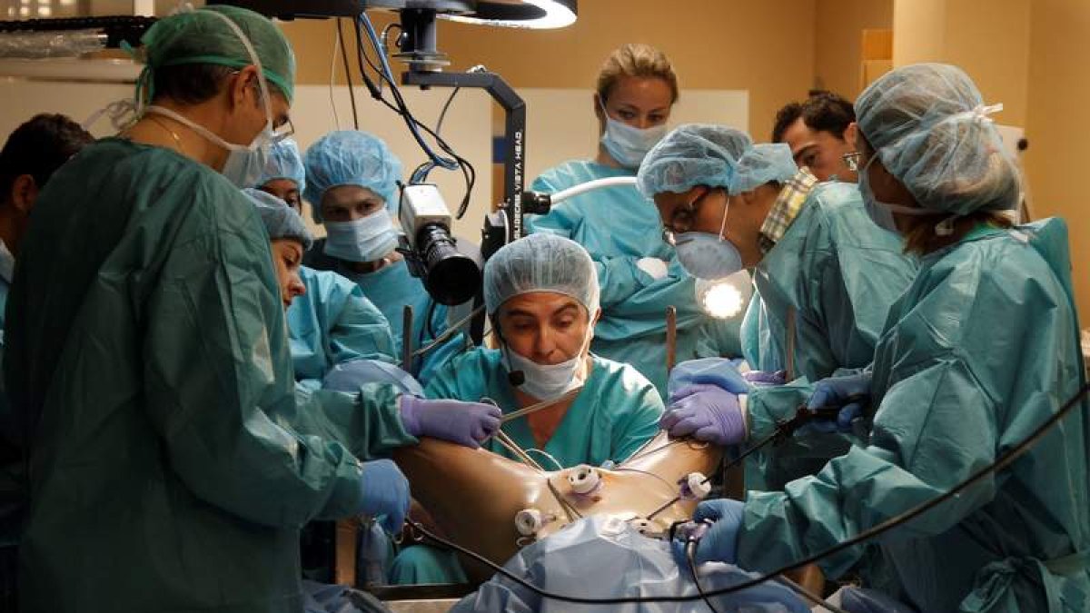 Médicos y cirujanos de varios países ensayan en Alicante. PEP MORELL