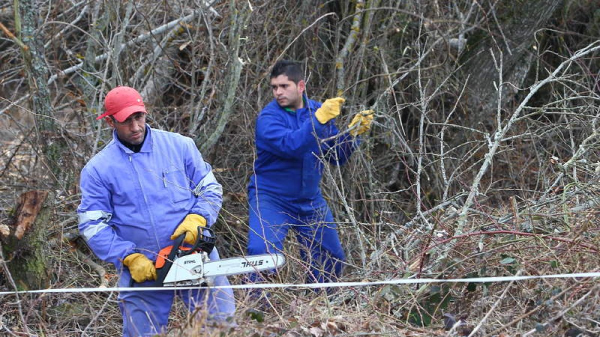 Dos internos del CIS, el último día de trabajo en Riello, desbrozando el camino.