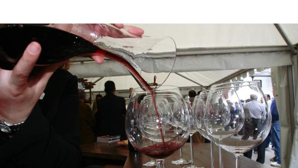 Los vinos del Bierzo intentarán convencer esta semana a los especialistas nórdicos