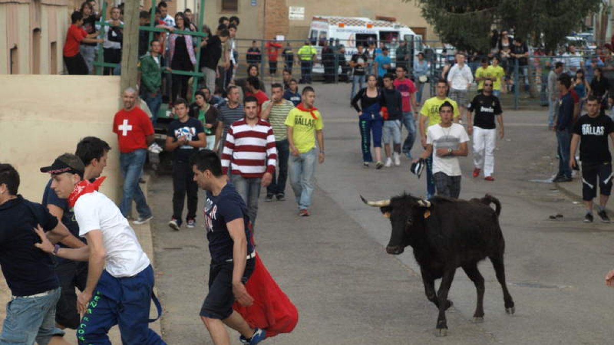 Imagen de archivo de uno de los encierros de vaquillas por las calles de Villademor. MEDINA