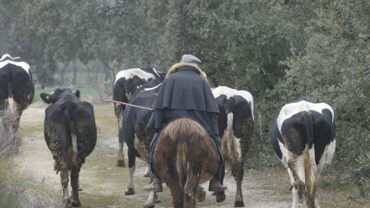 El medio rural se beneficiará de un programa europeo que auspician la Junta y Portugal. DL