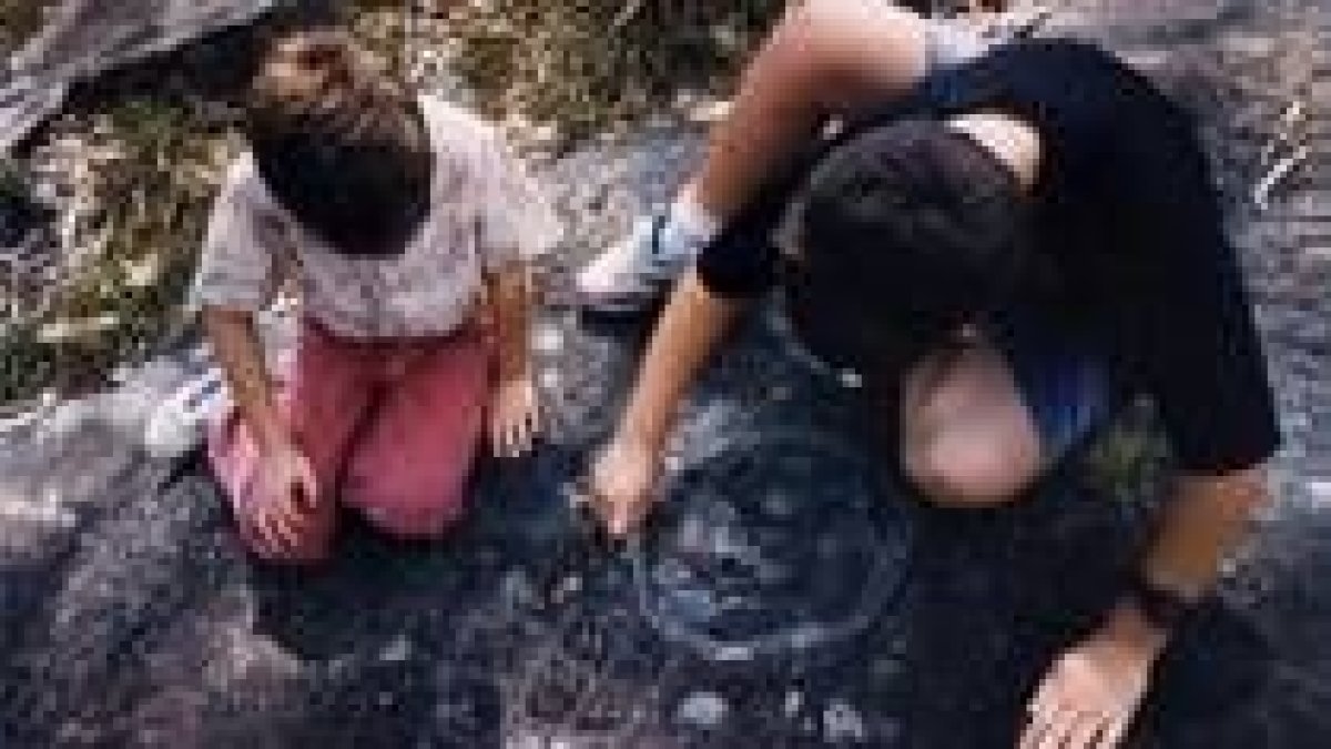 Cataluña es la comunidad  donde han sido acogidos más niños extranjeros