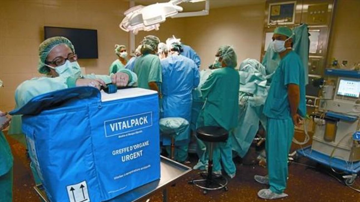 Un equipo médico realiza un trasplante en el Hospital Clínic de Barcelona.