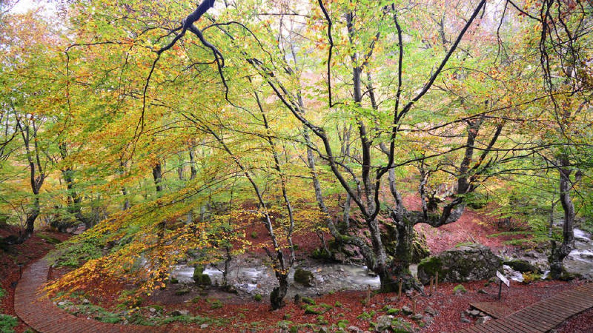Fotografía de Miguel Aguilar Barrera para la I Quedada Concurso de Fotografía del Faedo de Ciñera