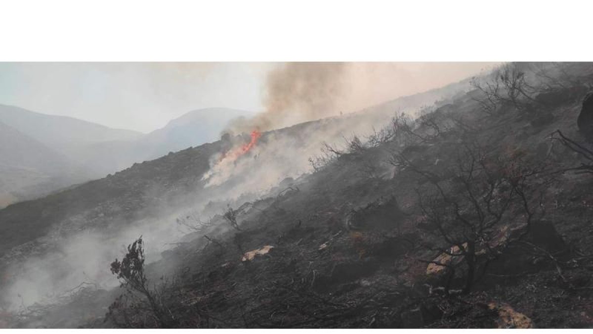 Consecuencias del fuego de Boca de Huergano. REDACCIÓN