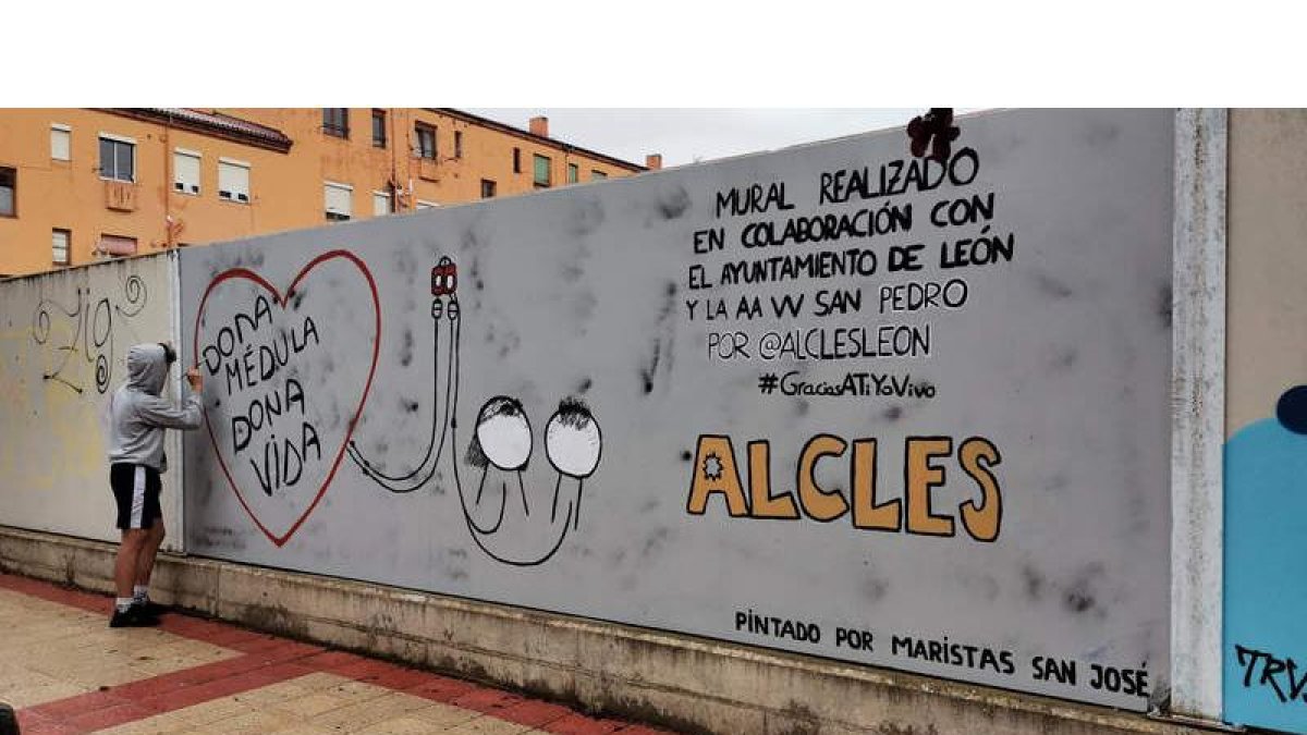 Elaboración de los dibujos. DL