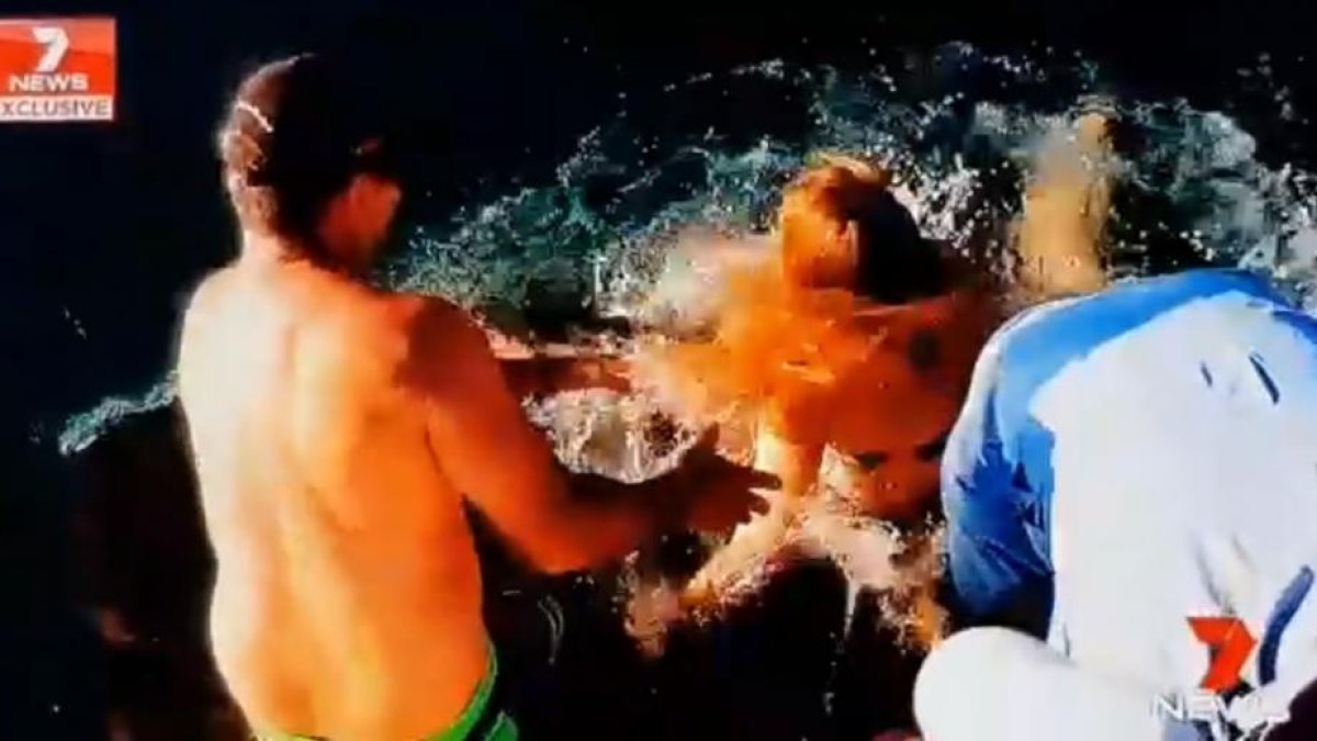 Melissa Brunning, en el momento en que estuvo a punto de ser arrastrada al agua por el tiburón al que intentaba alimentar.