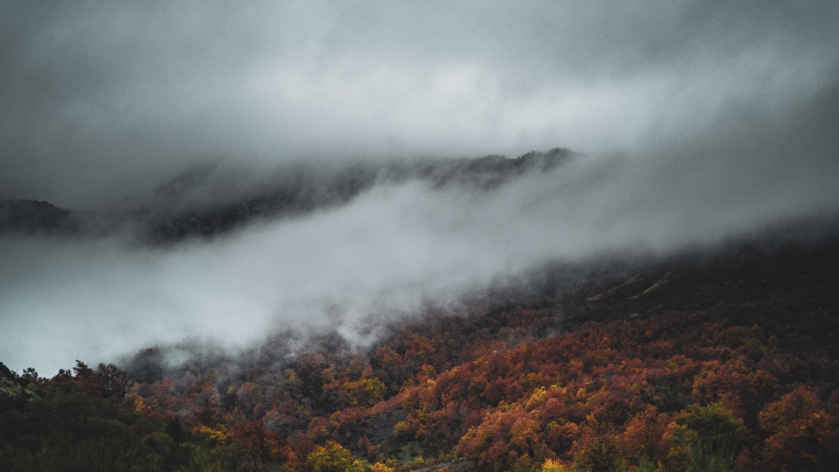 REPORTAJE SOBRE PRIORO