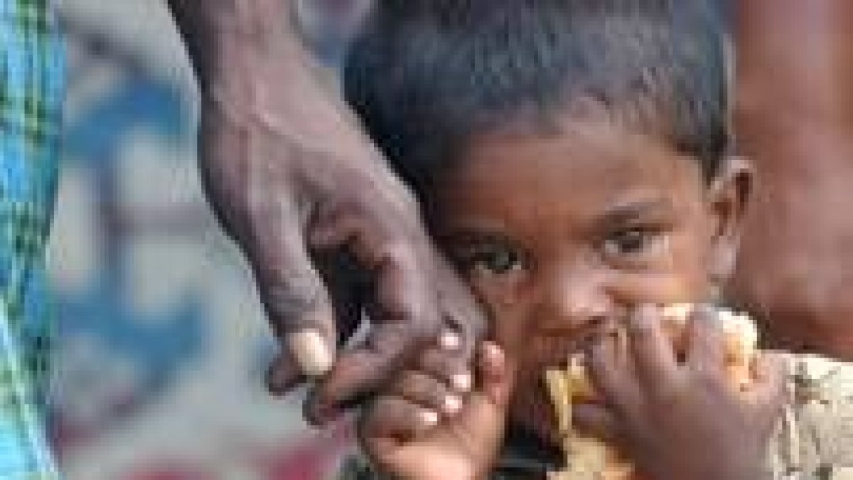Un niño huérfano recibe comida en un campo de refugiados de Sri Lanka