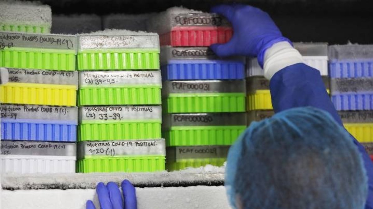 La biotecnología se reivindica en el congreso nacional de León, el 18 y 20 de este mes. DL