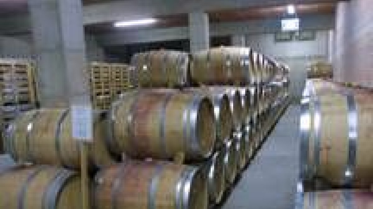 Bodega en el Bierzo, la denominación de origen con más ventas