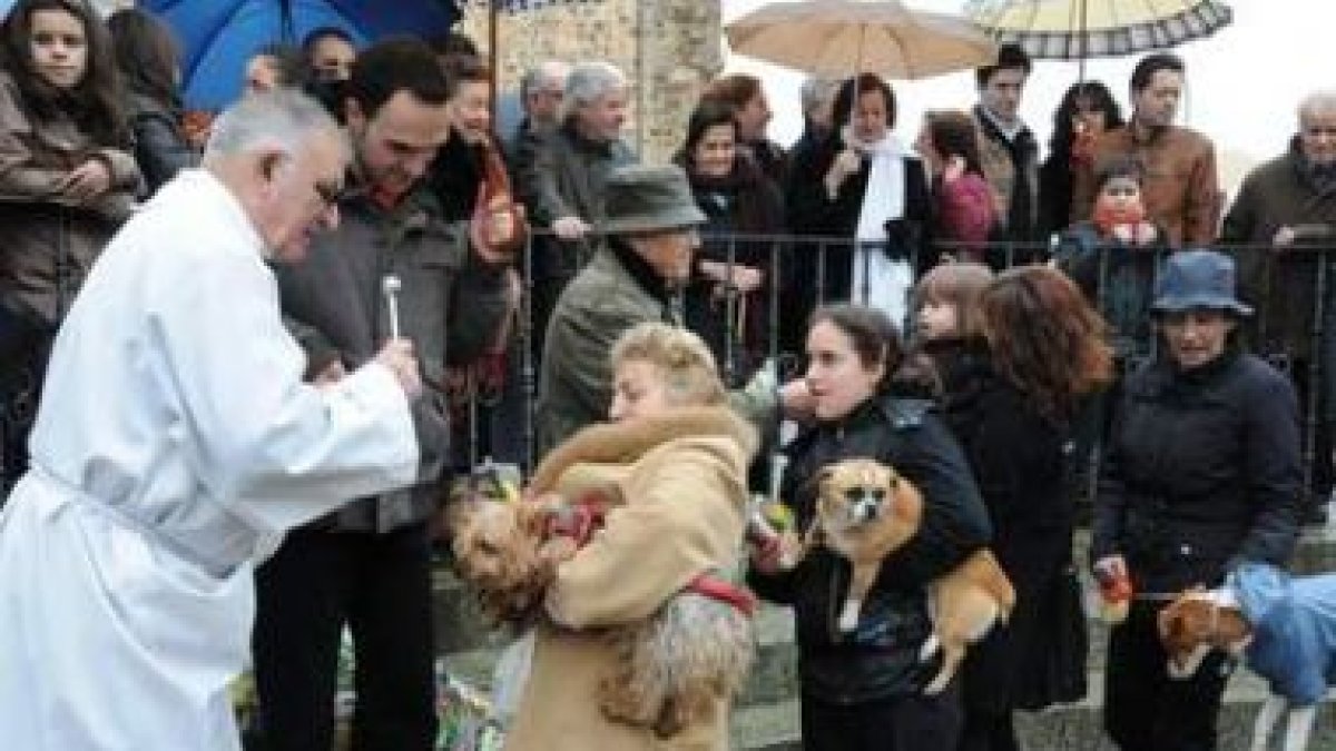 Un momento muy canino del acto que reúne a un buen número de bañezanos todos los años.