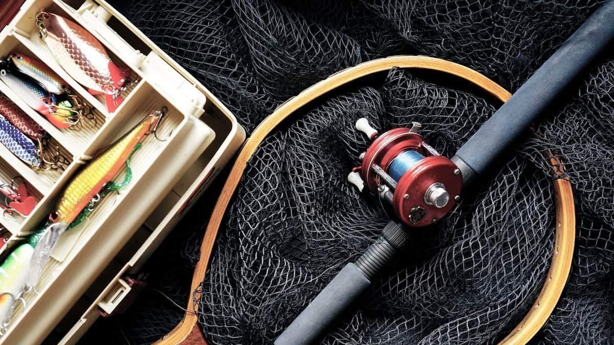Licencia de pesca en León: tipos, precio y procedimiento Foto: Pixabay