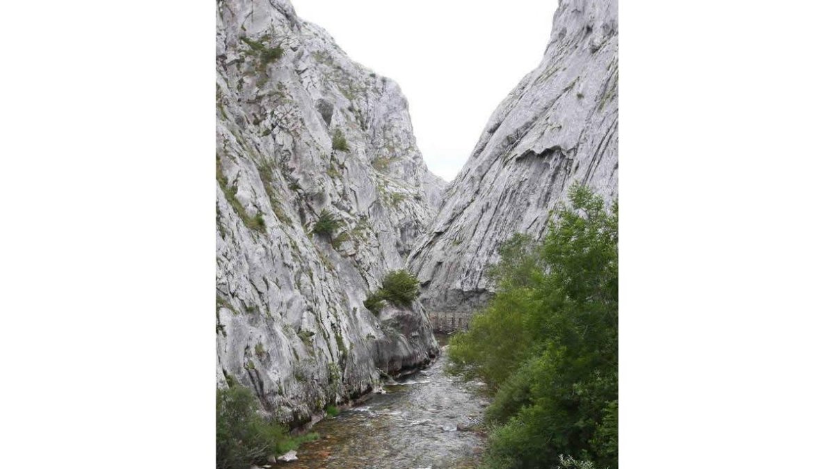 Vista de las Hoces de Vegacervera, un tajo labrado pacientemente por el río Torío.