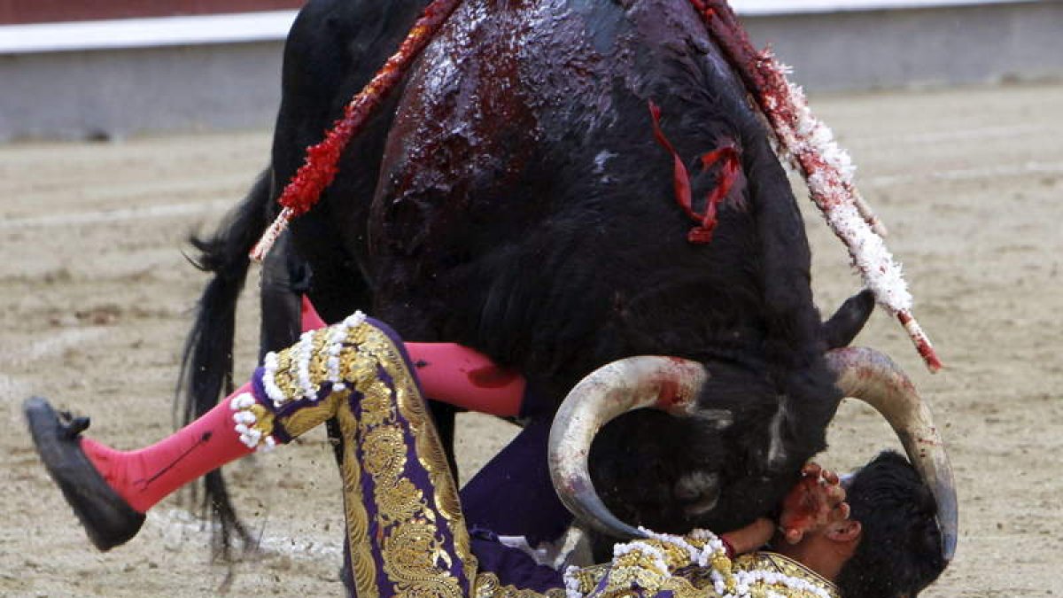 Sergio Flores, durante la cogida al entrar a matar.