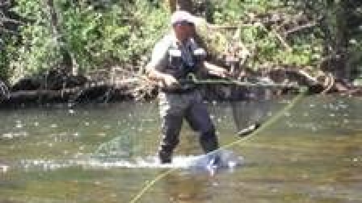 Pablo Castro, pescando durante la Semana Internacional de la Trucha