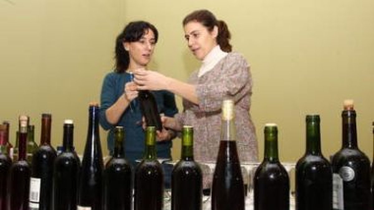 Las muestras que concurrieron al concurso de Cabañas.