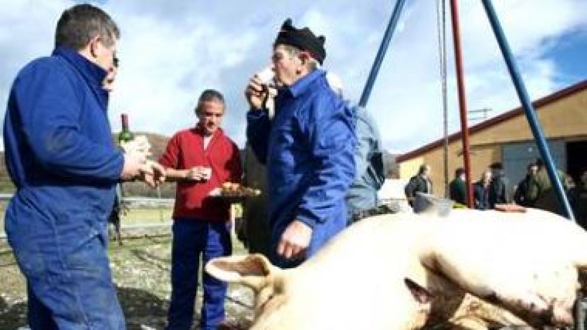 Los matarifes se toman un descanso en el sacrificio del gocho para degustar la parva.